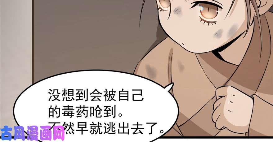 毒步天下：特工神医小兽妃22