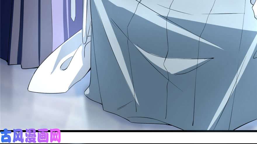 毒步天下：特工神医小兽妃22