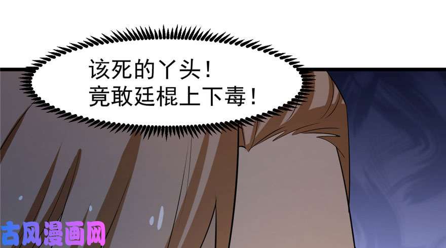 毒步天下：特工神医小兽妃22