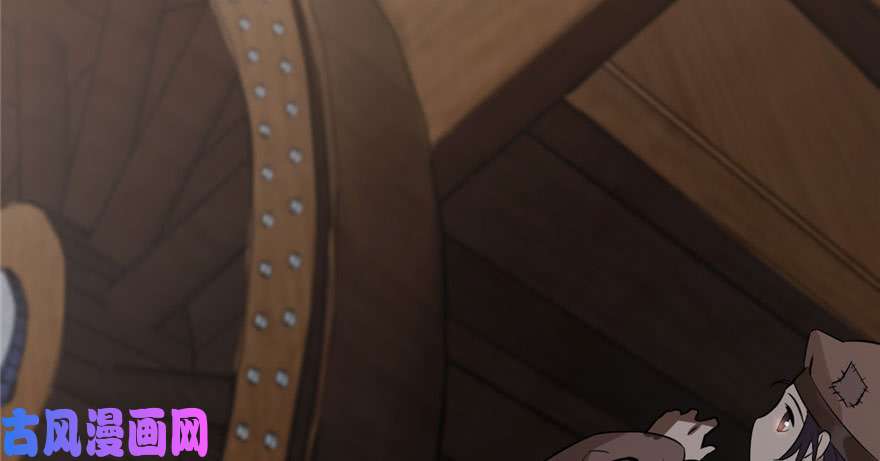 毒步天下：特工神医小兽妃22