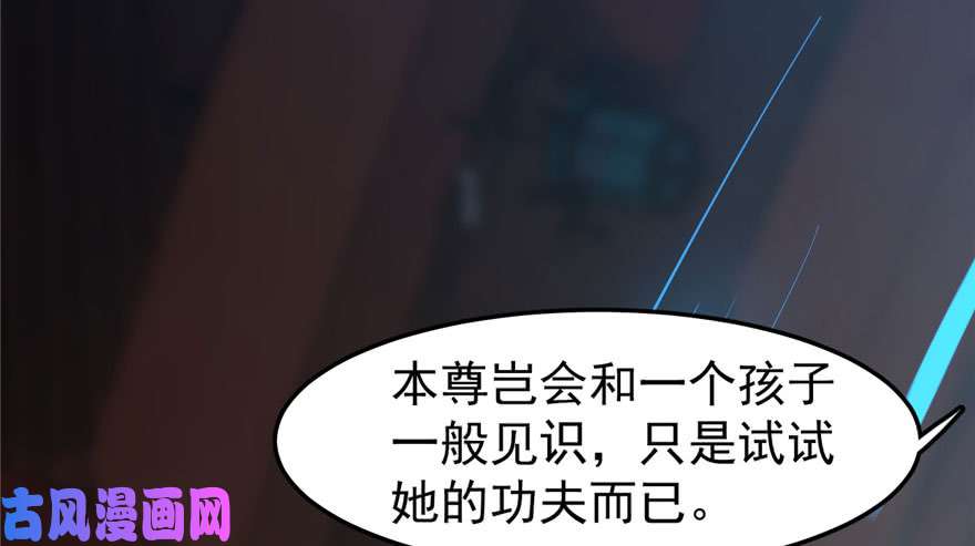 毒步天下：特工神医小兽妃22