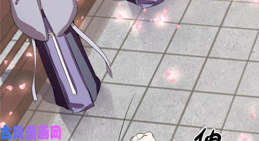 毒步天下：特工神医小兽妃22