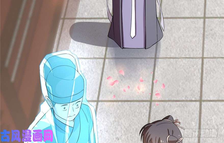 毒步天下：特工神医小兽妃22