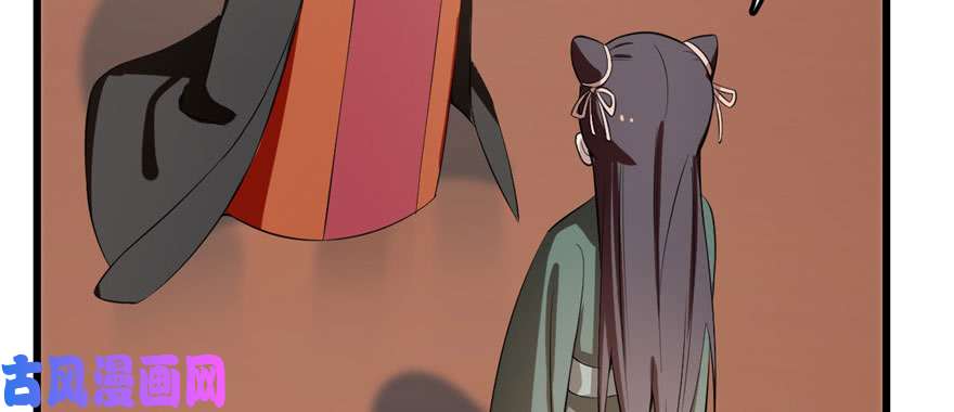 毒步天下：特工神医小兽妃22