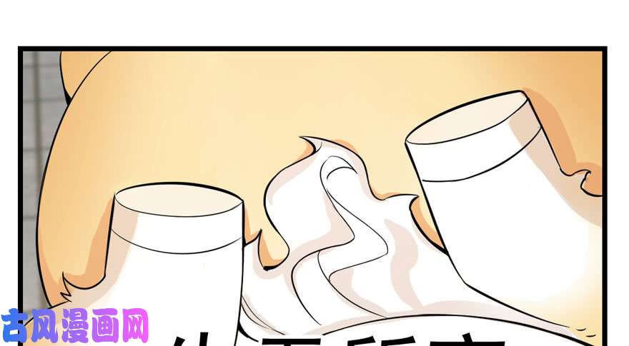 毒步天下：特工神医小兽妃22