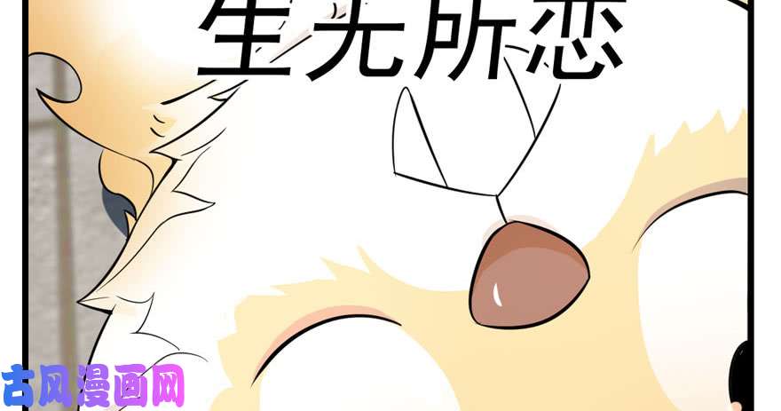 毒步天下：特工神医小兽妃22