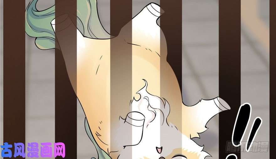 毒步天下：特工神医小兽妃22