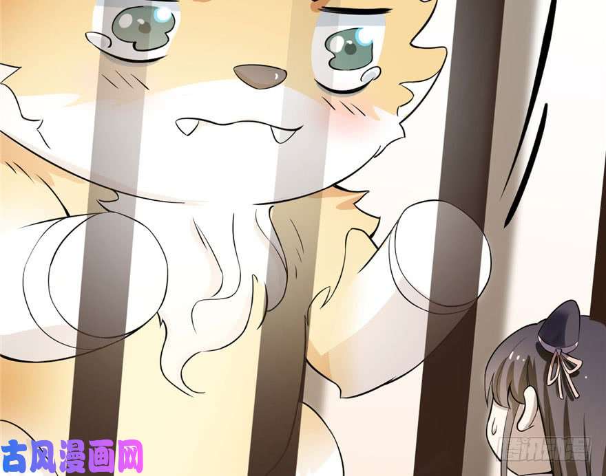 毒步天下：特工神医小兽妃22