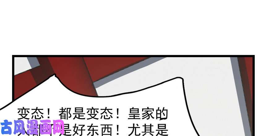 毒步天下：特工神医小兽妃22