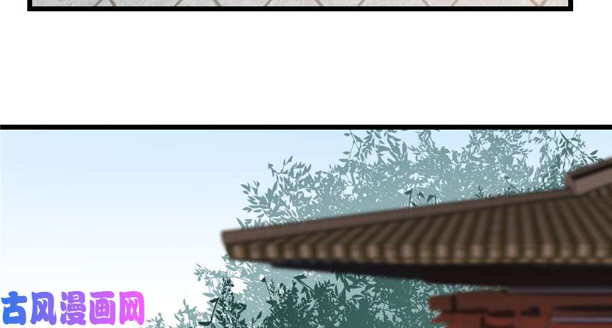 毒步天下：特工神医小兽妃22