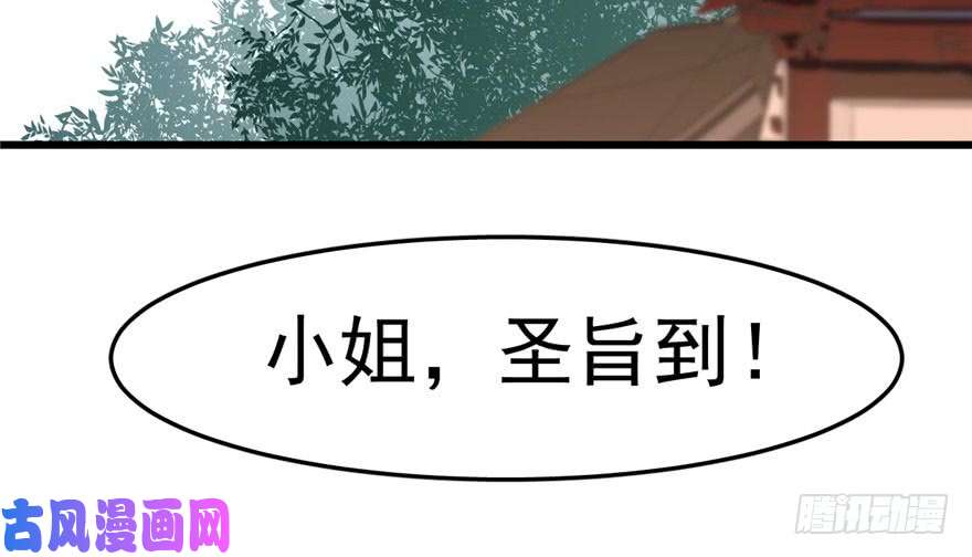 毒步天下：特工神医小兽妃22