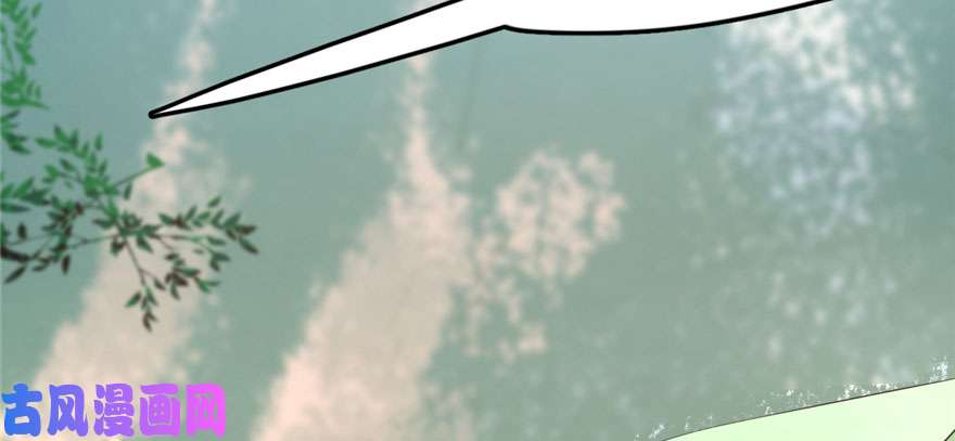 毒步天下：特工神医小兽妃23