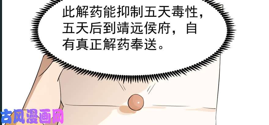 毒步天下：特工神医小兽妃23