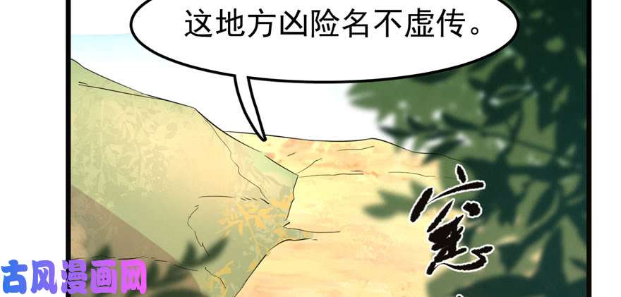 毒步天下：特工神医小兽妃23