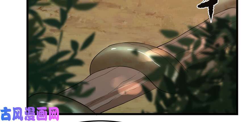 毒步天下：特工神医小兽妃23