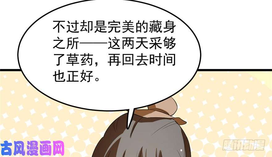 毒步天下：特工神医小兽妃23