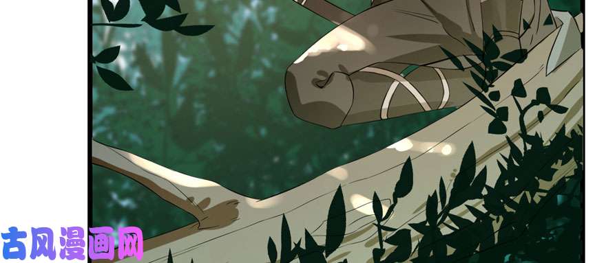 毒步天下：特工神医小兽妃23