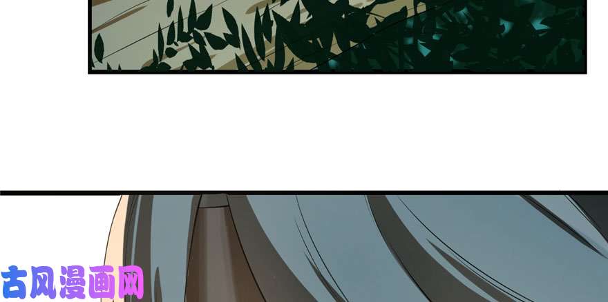 毒步天下：特工神医小兽妃23