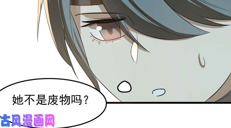 毒步天下：特工神医小兽妃23