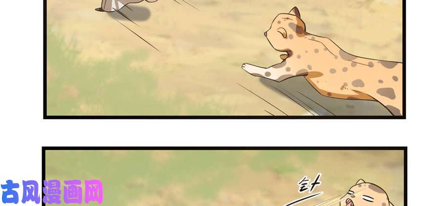 毒步天下：特工神医小兽妃23