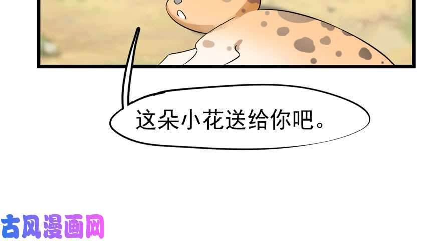 毒步天下：特工神医小兽妃23