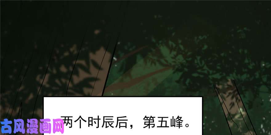 毒步天下：特工神医小兽妃23