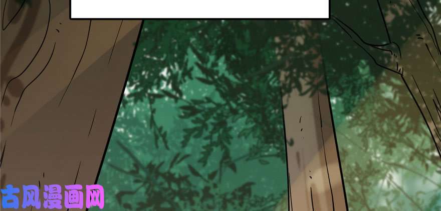 毒步天下：特工神医小兽妃23