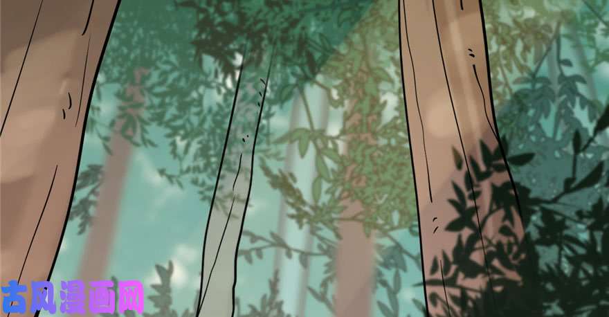 毒步天下：特工神医小兽妃23