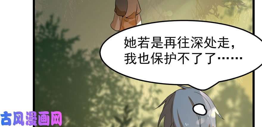 毒步天下：特工神医小兽妃23