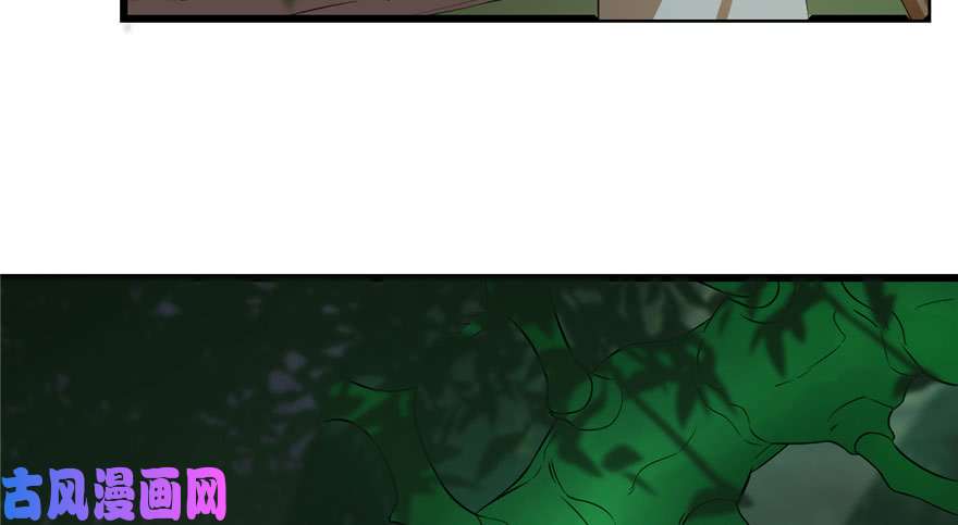 毒步天下：特工神医小兽妃23