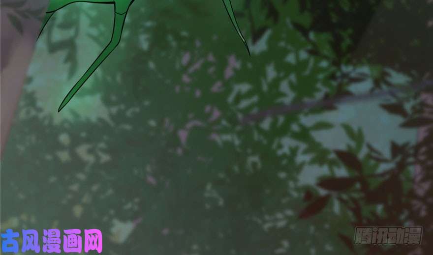 毒步天下：特工神医小兽妃23