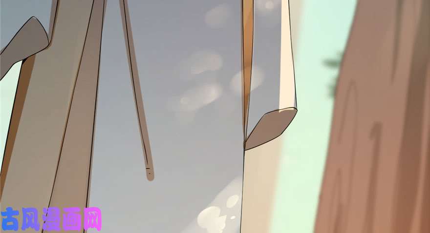 毒步天下：特工神医小兽妃23