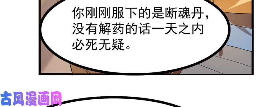 毒步天下：特工神医小兽妃23