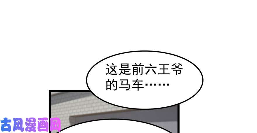 毒步天下：特工神医小兽妃23