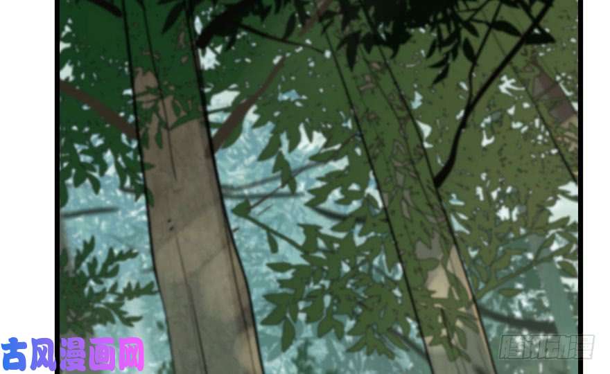 毒步天下：特工神医小兽妃23