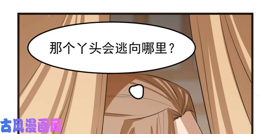 毒步天下：特工神医小兽妃23