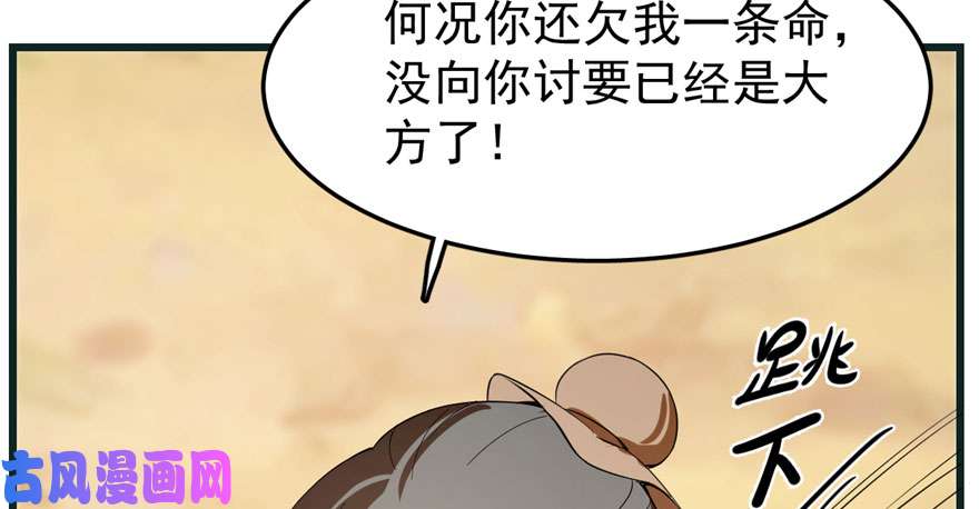 毒步天下：特工神医小兽妃23