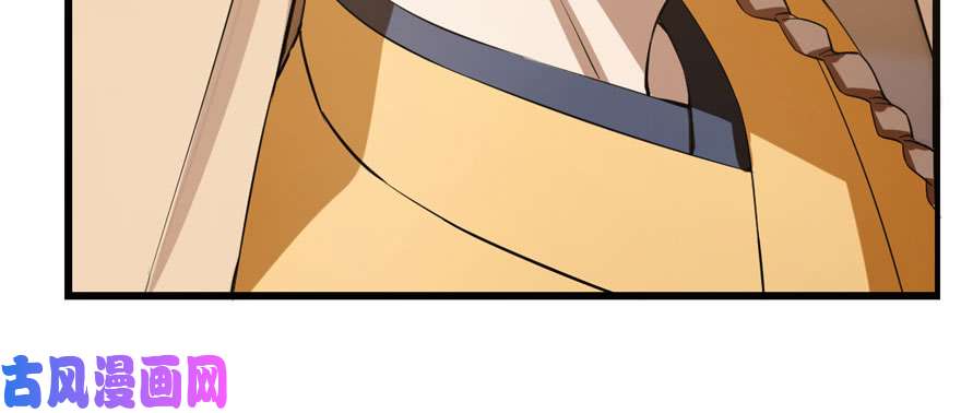 毒步天下：特工神医小兽妃23