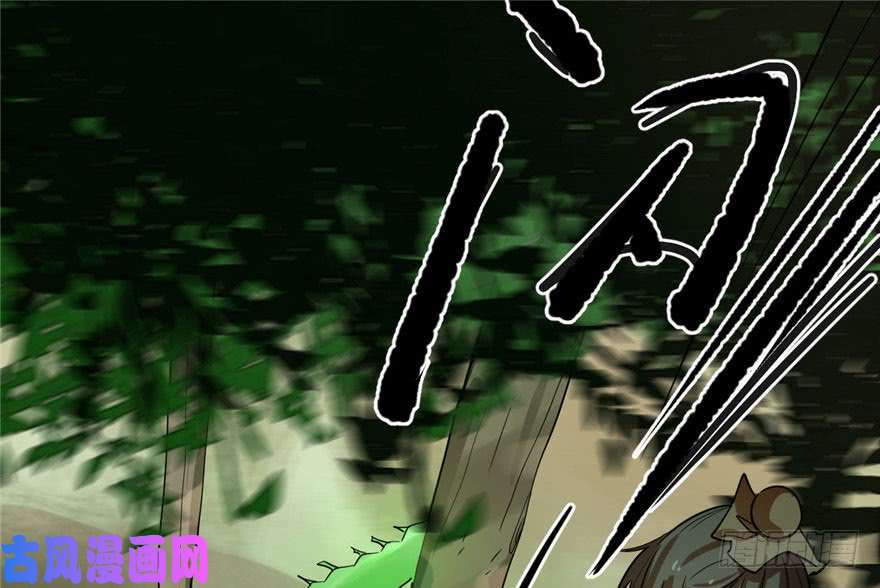 毒步天下：特工神医小兽妃24