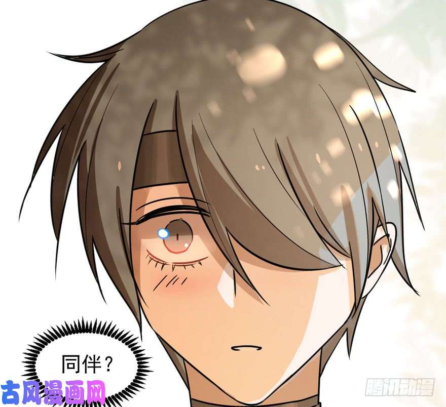 毒步天下：特工神医小兽妃24