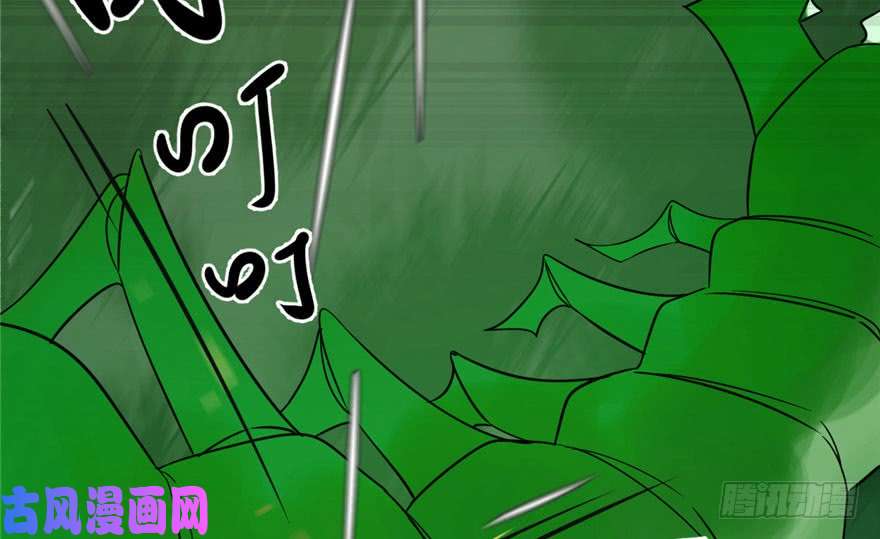 毒步天下：特工神医小兽妃24