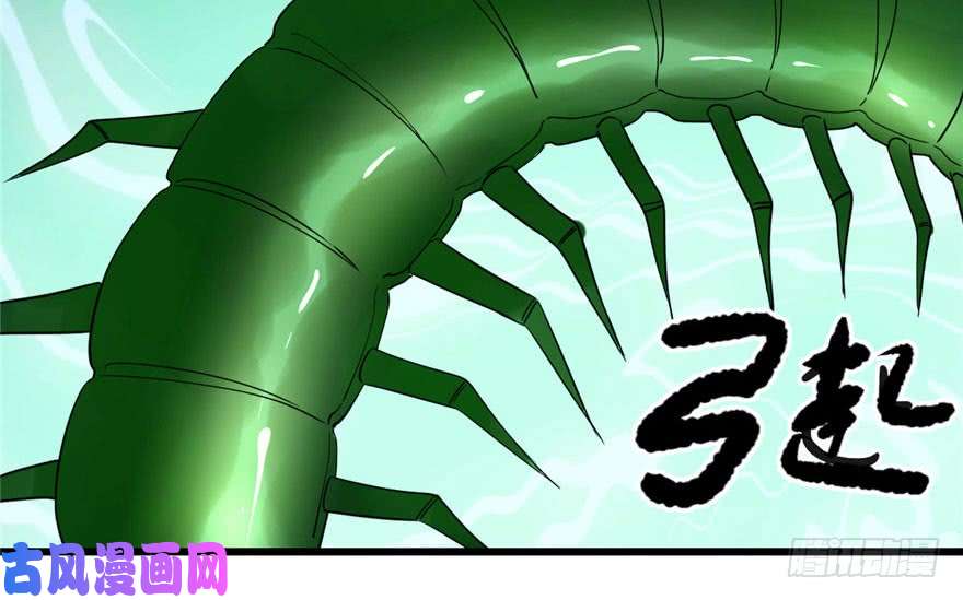 毒步天下：特工神医小兽妃24