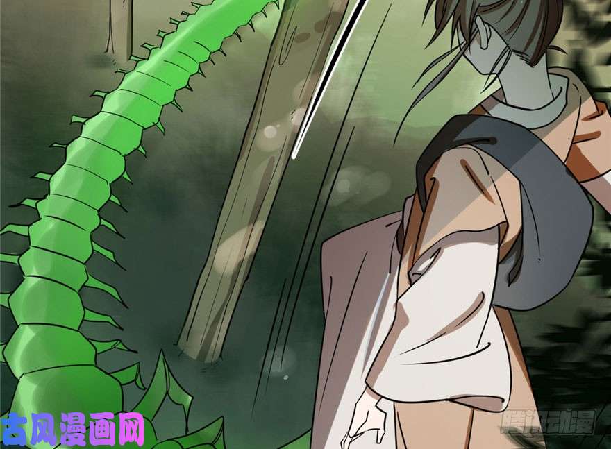 毒步天下：特工神医小兽妃24