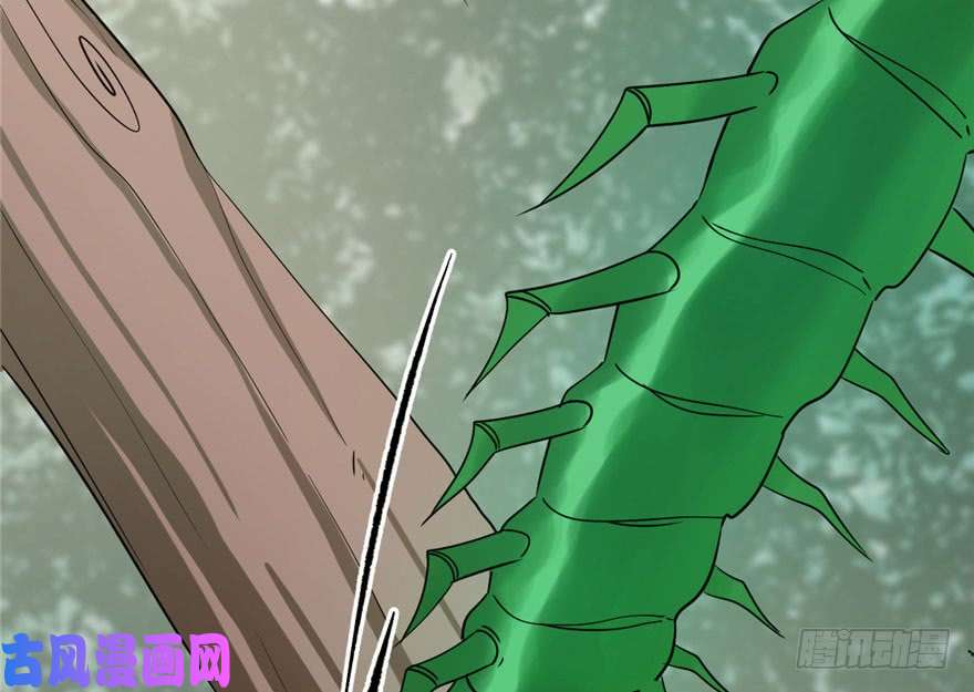 毒步天下：特工神医小兽妃24