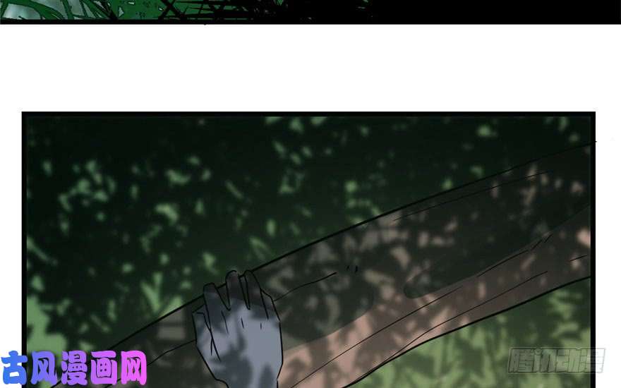 毒步天下：特工神医小兽妃24