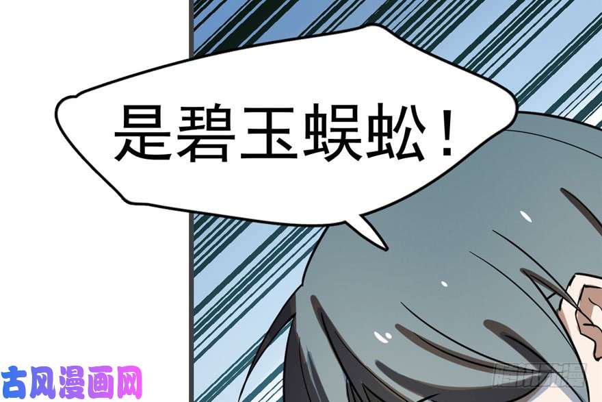 毒步天下：特工神医小兽妃24