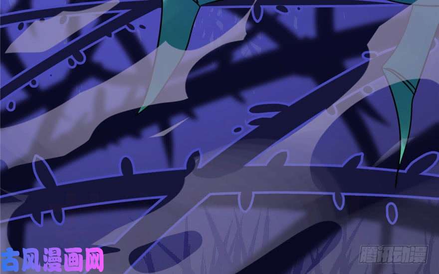 毒步天下：特工神医小兽妃24