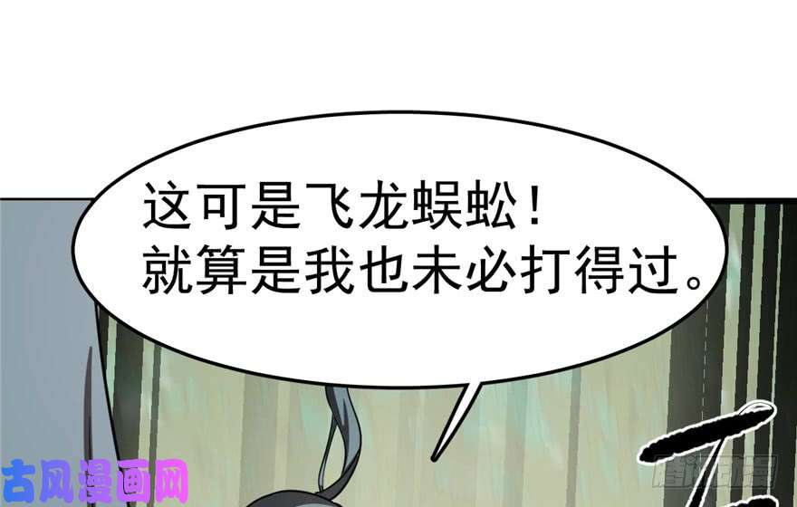 毒步天下：特工神医小兽妃24