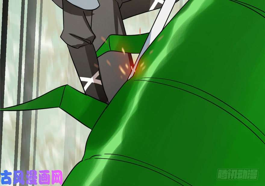 毒步天下：特工神医小兽妃24