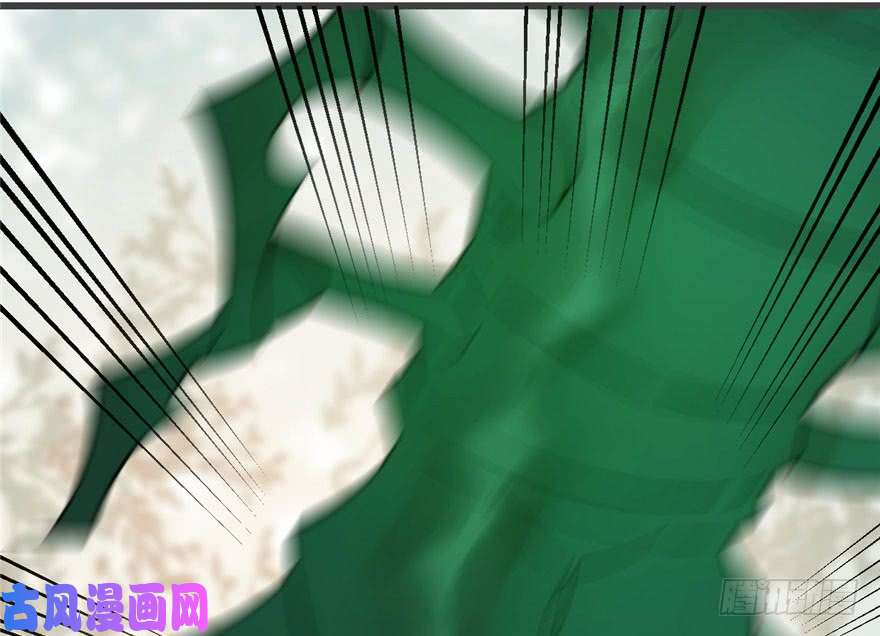 毒步天下：特工神医小兽妃24